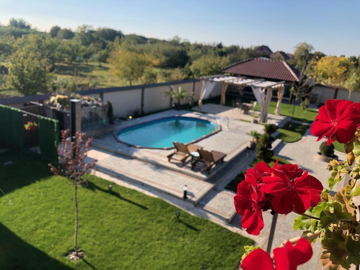 Kovac Residence Nagybecskerek Kültér fotó