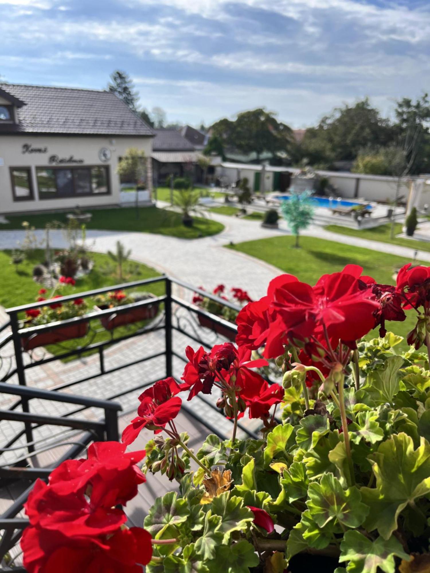 Kovac Residence Nagybecskerek Kültér fotó